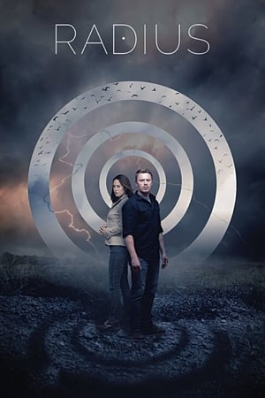 Radius (2017) Hindi Dual Audio [870MB]